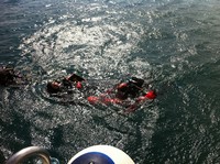 img_2721.jpg
